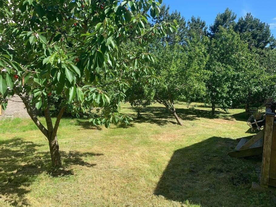 Naturnaera Gard I Tyfta Bagian luar foto